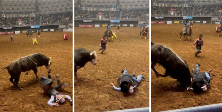Pai entra em arena para proteger filho desmaiado de touro (YouTube)